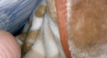 Momak fucks dlakave talijanke u zbijeno maca dva teen pijanista