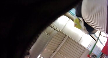 Momak je vidio kako njegova djevojka masturbira i fucks ga porno dlakavi u maca