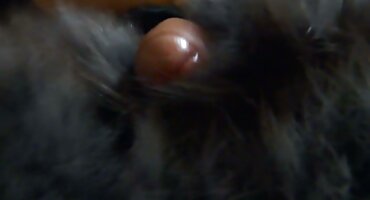 Da postane Mršava tajnica crnke morala se zajebavati i masturbirati pred dlakave starke šefom